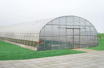 山東單拱溫室大棚造價(jià)