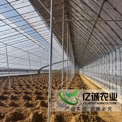 如何選擇優(yōu)質(zhì)的日光溫室建設(shè)廠家？?jī)|誠(chéng)農(nóng)業(yè)專家解析選廠要點(diǎn)